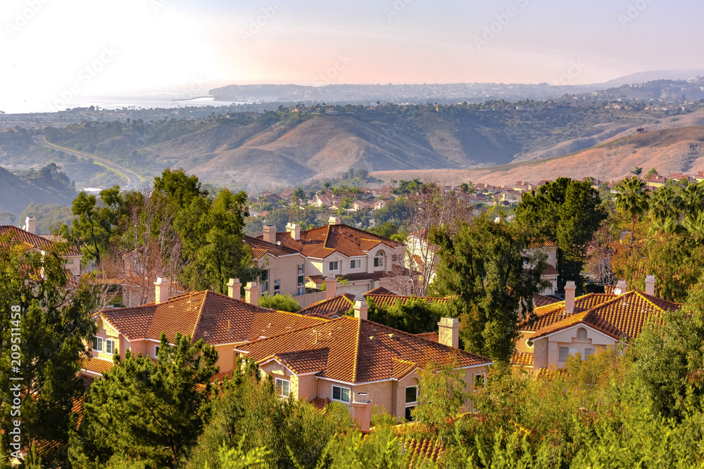San Clemente homes in the trees