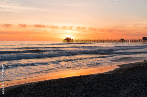 Palm Trees Beach Waves and Surf at Sunset in Oceanside San Diego California © Ashley