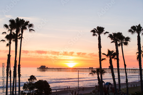 Obraz na płótnie Palm Trees Beach Waves and Surf in Oceanside San Diego California