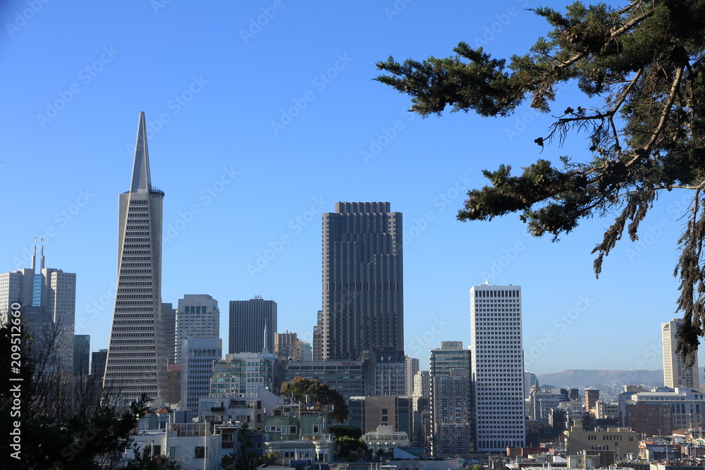 View of Financial District from Telegraph Hill in San Francisco