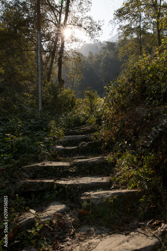 Golden path in Nepal