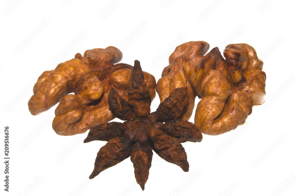 walnut isolated on white background walnut isolated on white background