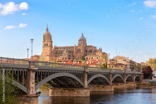View on the New Cathedral from the bank of the Tormes River, Salamanca, Castile and Leon, Spain.