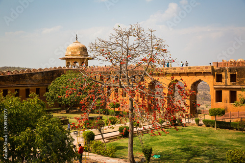 Wallpaper Mural JAIPUR, INDIA-MARCH 4: Amer fort on March 4, 2018 in Jaipur, India. Amer fort on Holi Torontodigital.ca