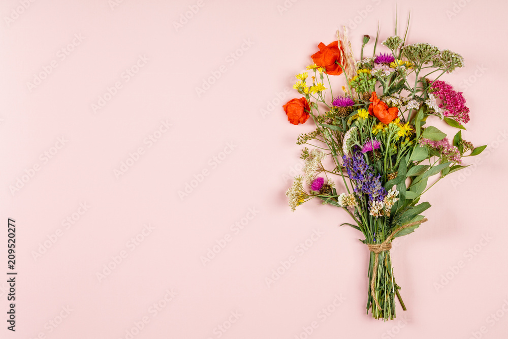 Wild flower bouquet on pastel color background Wild flower bouquet on pastel color background