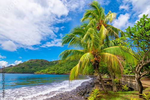 Fototapeta Naklejka Na Ścianę i Meble -  Landscape with palm trees at the ocean, Nuku Hiva, Marquesas Islands, French Polynesia