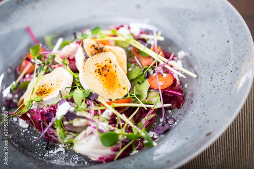 Foto Vegetable salad with goat cheese and herb decoration