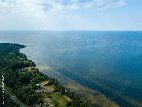 drone image. aerial view of Baltic sea shore with rocks and forest on land