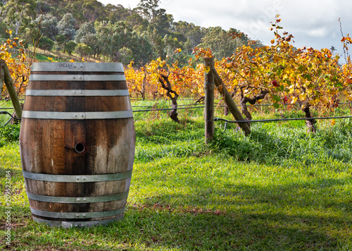 Wine Barrel