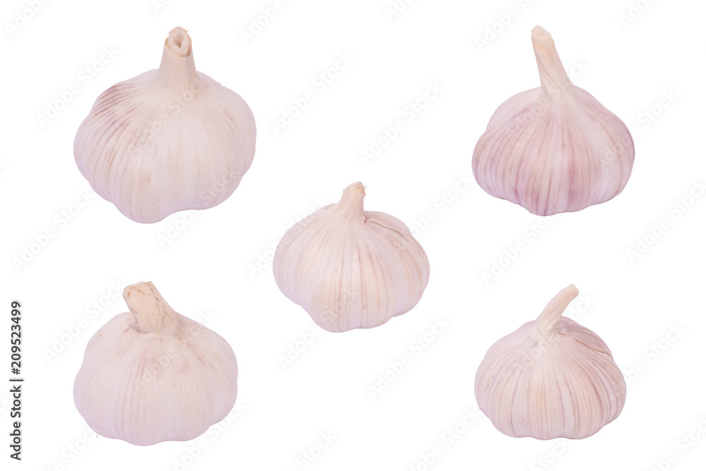 Garlic set isolated on white background. Garlic set isolated on white background.