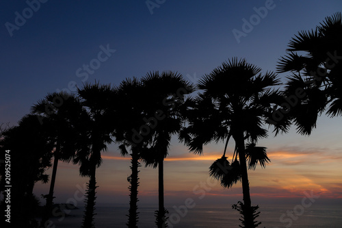 Palms silhouette in sunrise sky and sea landscape. Concept of exotic calm night background photo. photo