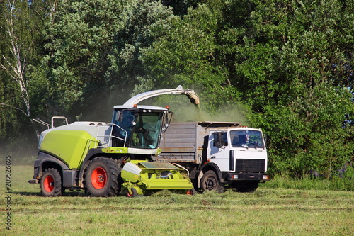 Agriculture, harvesting time - new white harvester close - up of harvesting silage in a flatbed truck on a green field in the summer afternoon against the forest, front side view