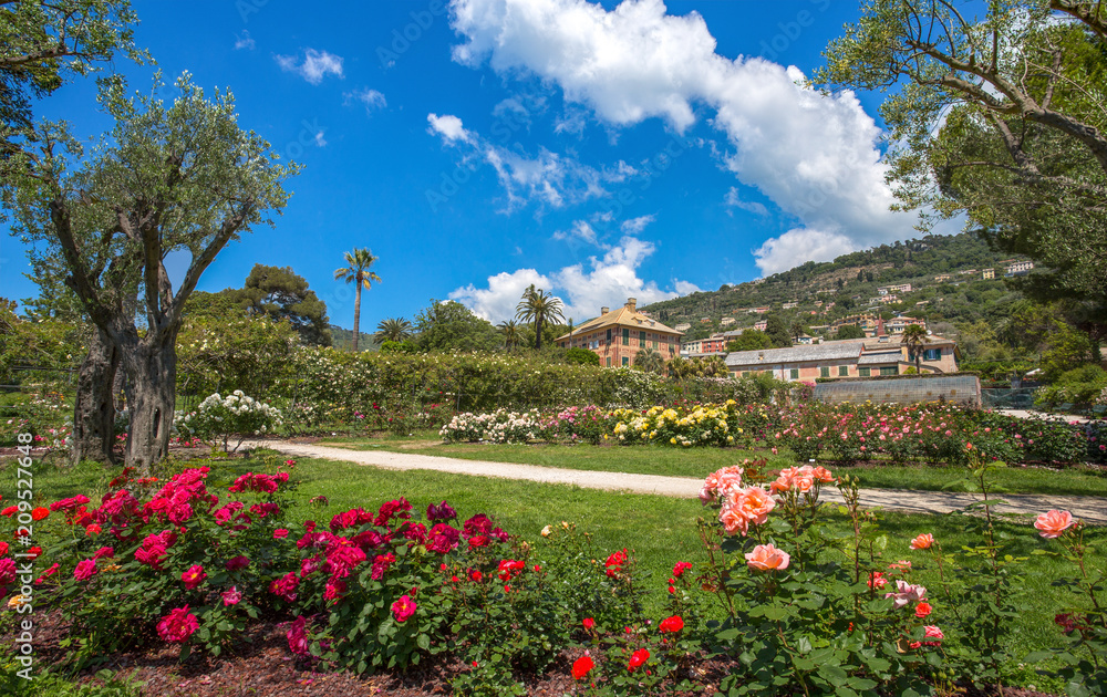 Naklejka premium GENOA (GENOVA), ITALY, MAY 18, 2018 - The rose garden