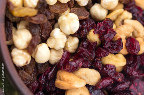 Dried hazelnuts, cashews, almonds and raisins. © vzwer