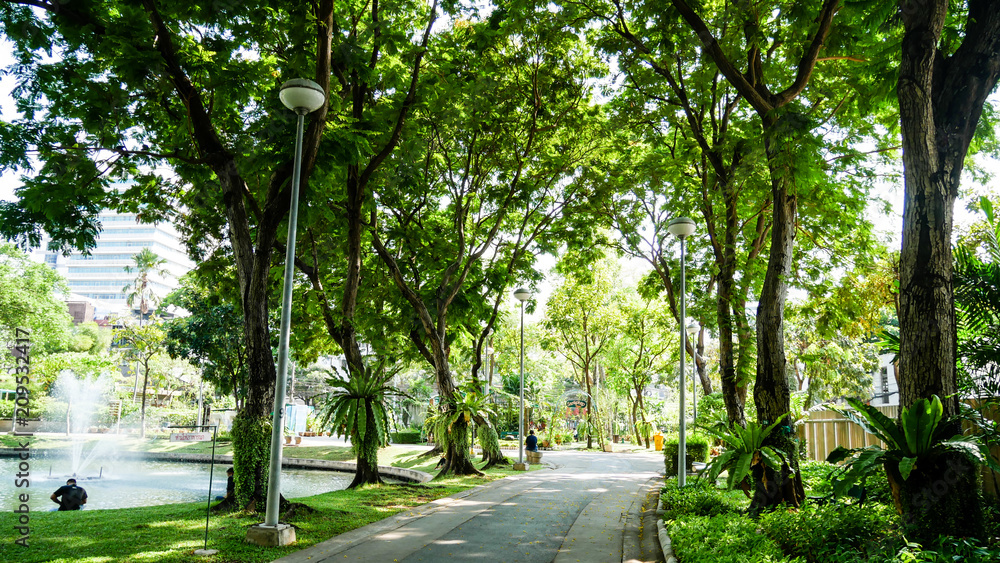 BANGKOK, THAILAND - MARCH 11, 2017: A walk way and green forest in the Santiphab park, the place for people to relax in Bangkok in the afternoon with fresh air.