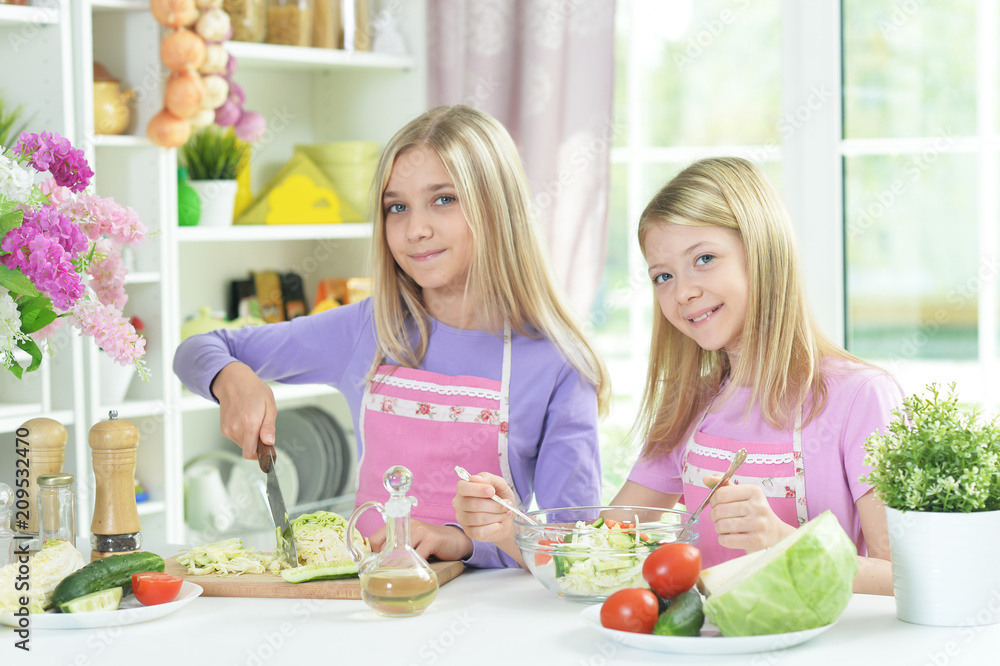 Two girls in pink aprons preparing fresh salad Two girls in pink aprons preparing fresh salad