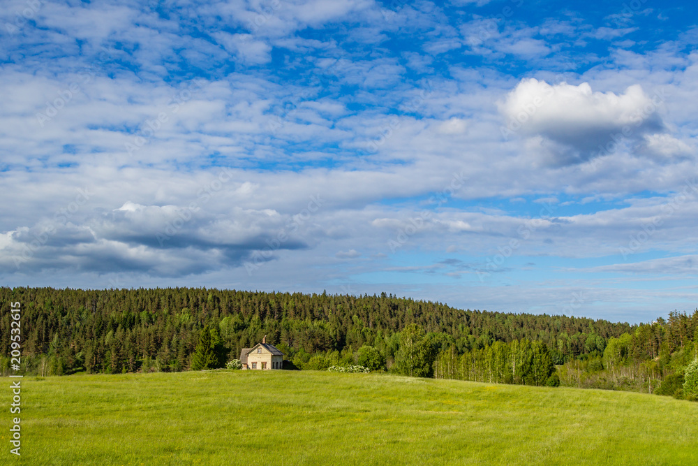 Summer day. Abandoned house in the background of the forest. House in a meadow.