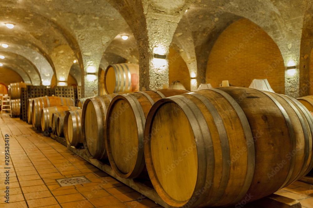 Barrels in the wine cellar