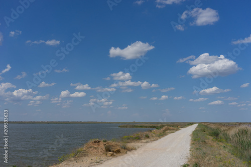 Fototapeta Naklejka Na Ścianę i Meble -  Country road leading along the lake with reeds.