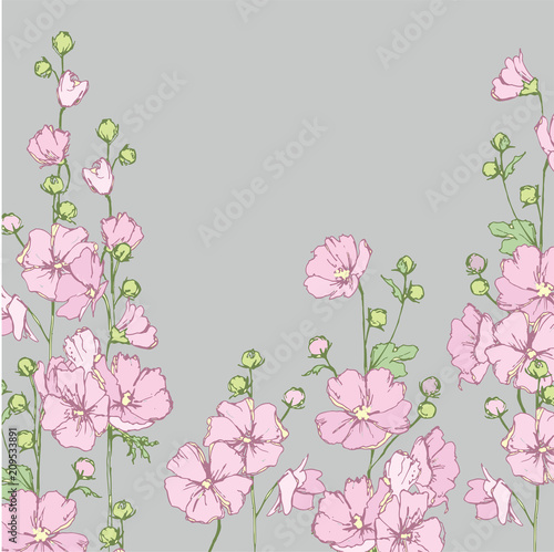 Malva sylvestris. Wild pink mallow. Wildflowers. Flowering in summer, medicinal plants.
