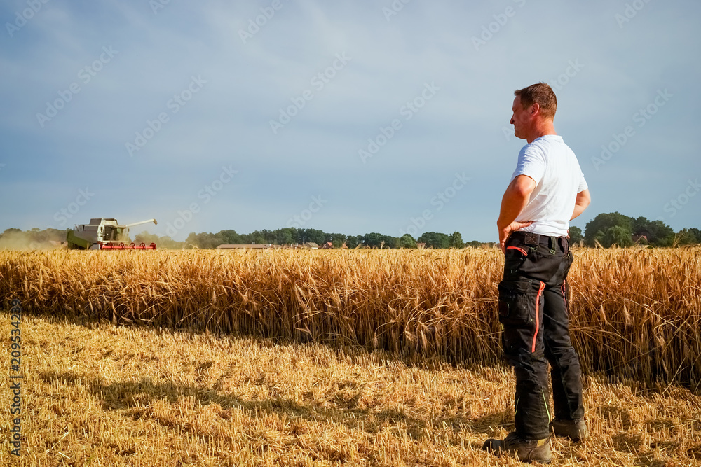 Getreideernte - trockener Sommer, Landwirt beobachtet Mähdrescher voller Sorge