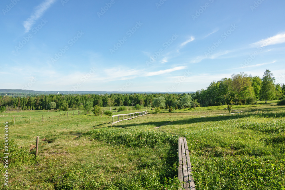 Meadow landscape with a wooden footbridge