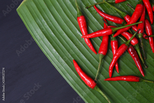 Red Thai chillies.Organic ingredient thai food.