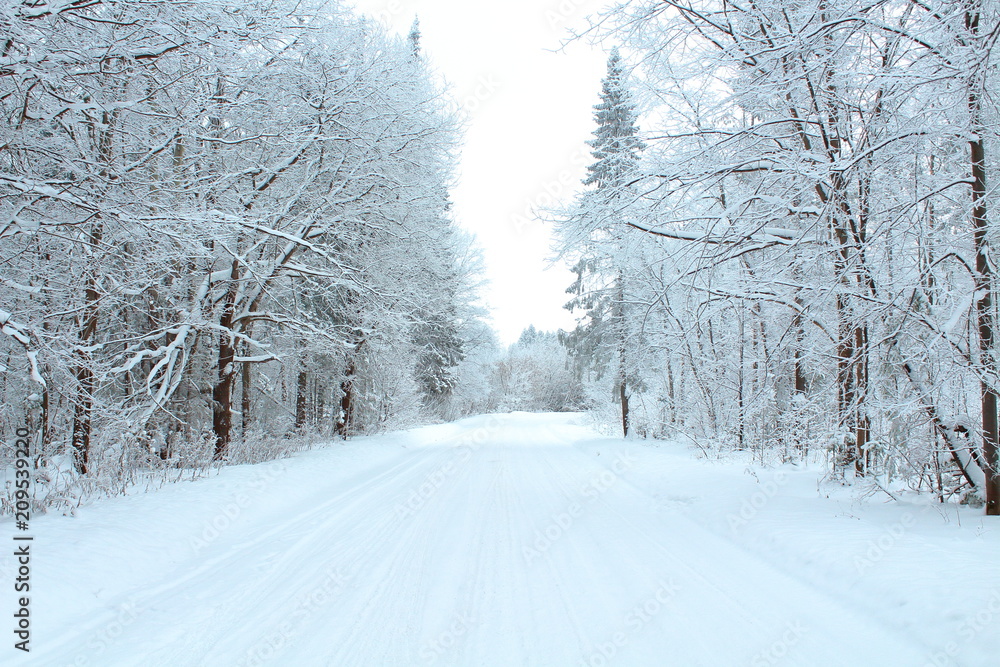 Snowy road through the snow forest. Russia, January, 2018. Snowy road through the snow forest. Russia, January, 2018.