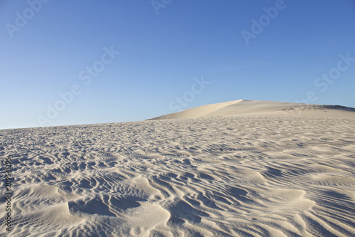 【ブラジルのビーチリゾート】ジェリコアコアラの砂丘