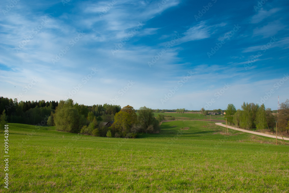 Clear spring sky, farmland field with birches