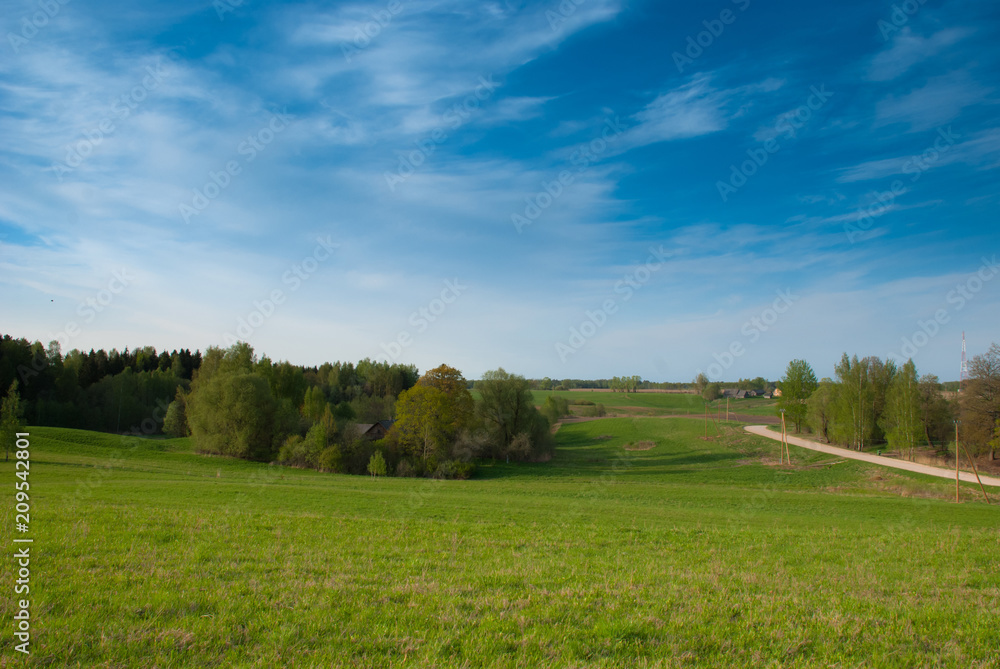 Clear spring sky, farmland field with birches Clear spring sky, farmland field with birches