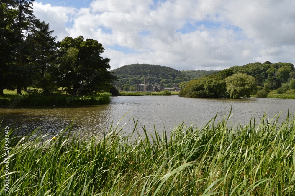 Obraz premium Margam Park