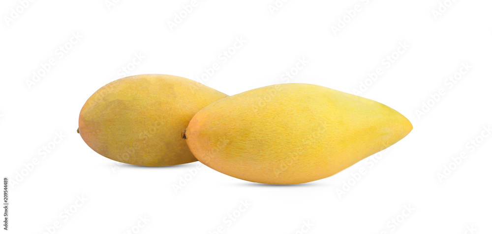 ripe mangoes isolated on white background