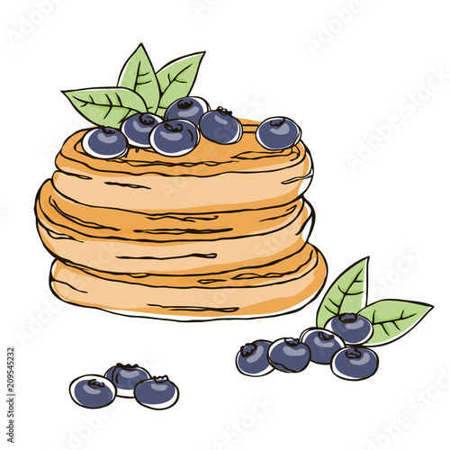 vector contour color blueberry sweets pancake cake berry dessert on white