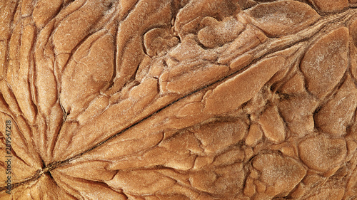 Walnut shell extreme macro as package design element collection. Texture closeup detail nut shell for your print 
