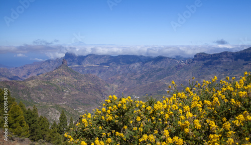 Gran Canaria, June