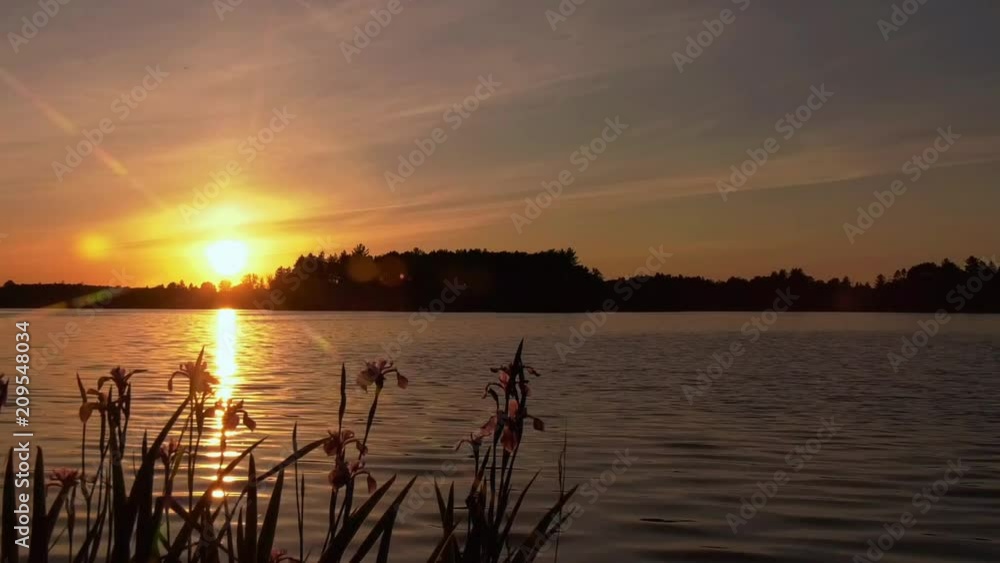 Sunset with Iris in foreground over looking lake Sunset with Iris in foreground over looking lake