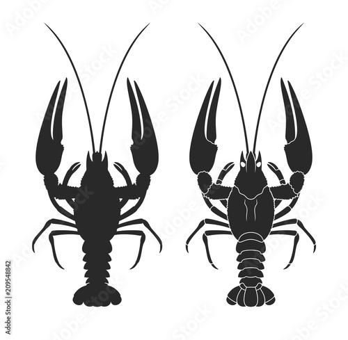 Crayfish silhouette. Isolated crayfish on white background © oleg7799