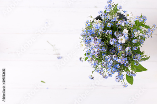 Fresh blue forget-me-nots or myosotis flowers on white wooden background.