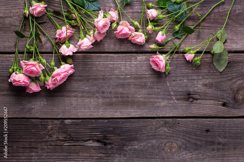 Fototapeta Naklejka Na Ścianę i Meble -  Pink roses flowers  on   dark aged wooden background. Floral still life.