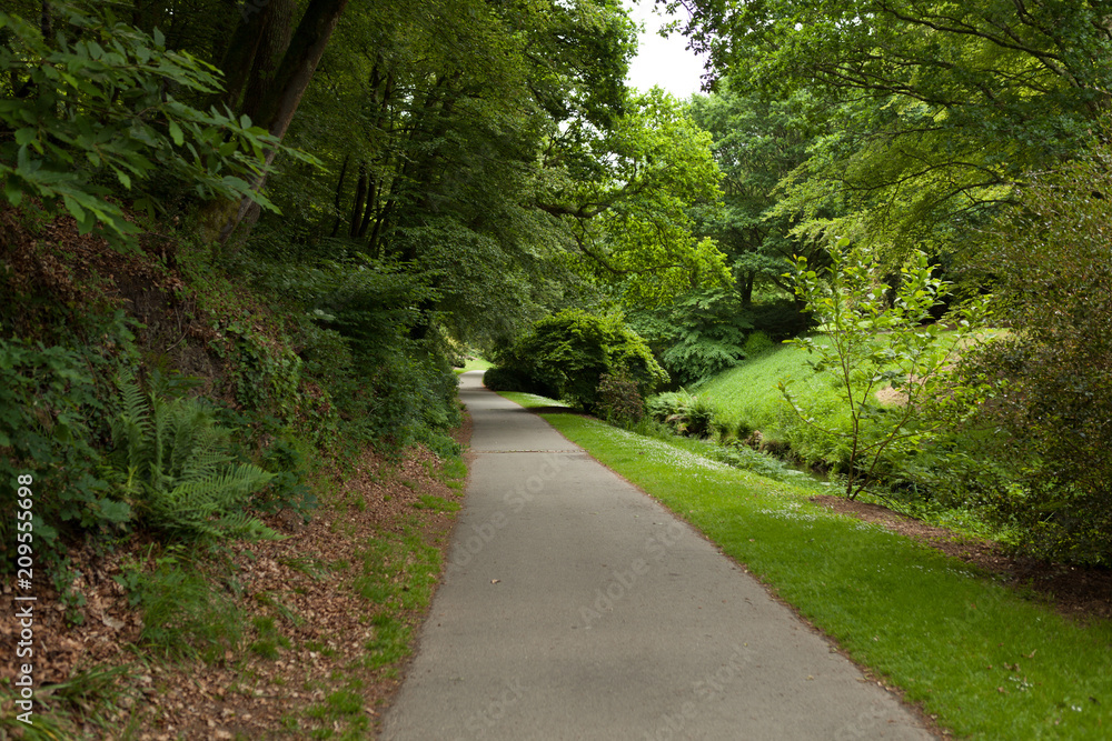 Beautiful Alley In Park. Garden Landscaping Design