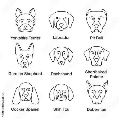 Dogs breeds linear icons set