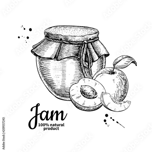 Apricot jam glass jar vector drawing.  Fruit Jelly and marmalade
