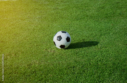Soccer ball on green field at stadium with sunshine