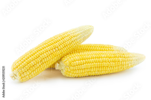 Pile of fresh corn isolated on white background