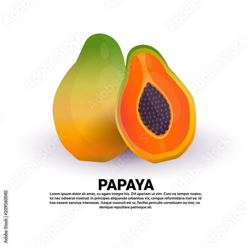 papaya on white background, healthy lifestyle or diet concept, logo for fresh fruits vector illustration