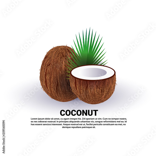 coconut on white background, healthy lifestyle or diet concept, logo for fresh fruits vector illustration