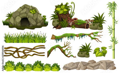 Set of jungle objects