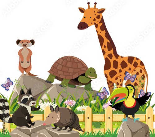 A Set of Exotic Animals