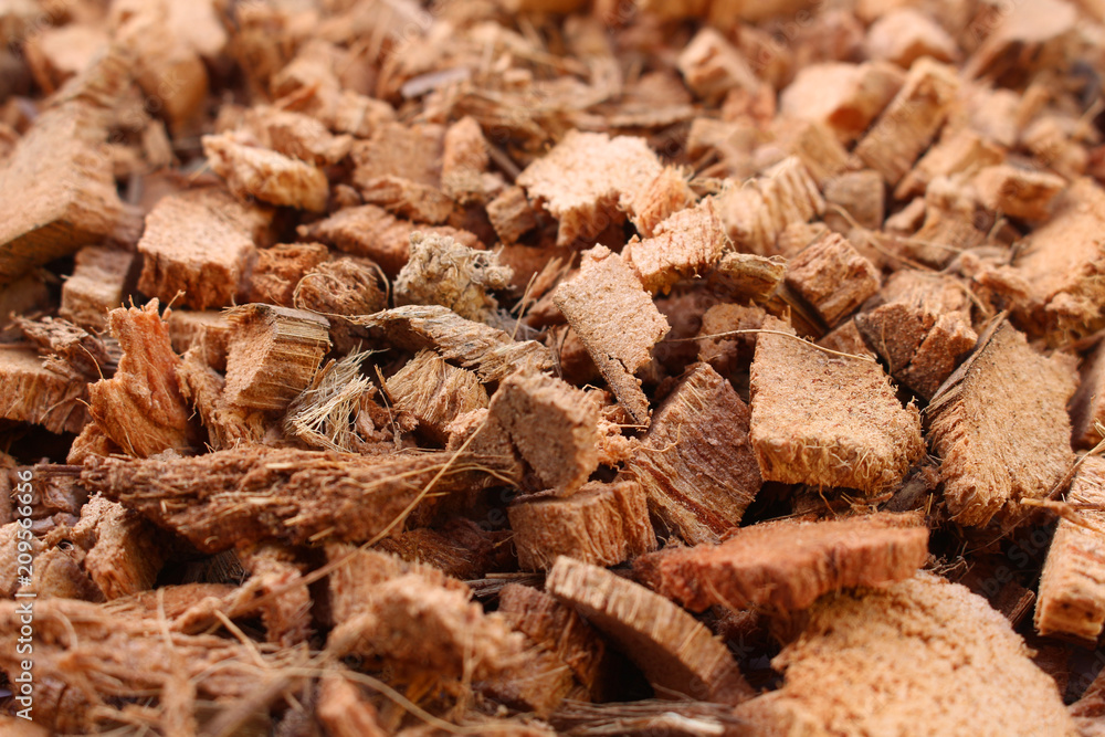 coconut shell background coconut shell background